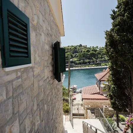 Solta Life Maslinica