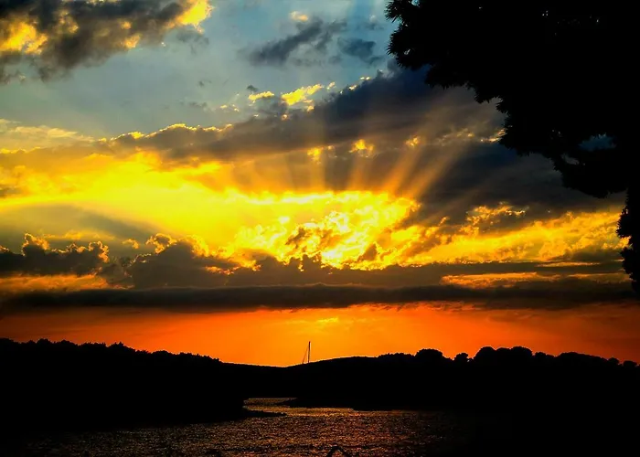 Apartment Solta Life Maslinica